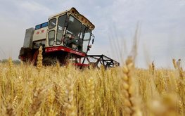 Китай увеличивает урожайность стратегических культур / Агро-Матик