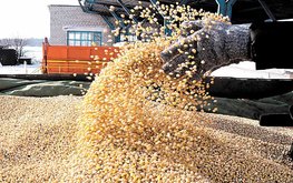 Мировой экспорт сои в&nbsp;декабре 2018 года снизился на&nbsp;5,5% / Агро-Матик