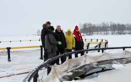 Господдержка рыбоводства в&nbsp;Вологодской области в&nbsp;2019 году увеличена почти в&nbsp;пять раз / Агро-Матик