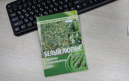 Новое издание о&nbsp;белом люпине / Агро-Матик