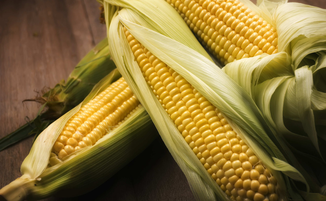 Кукуруза станет официальным растением американского штата Небраска / Агро-Матик