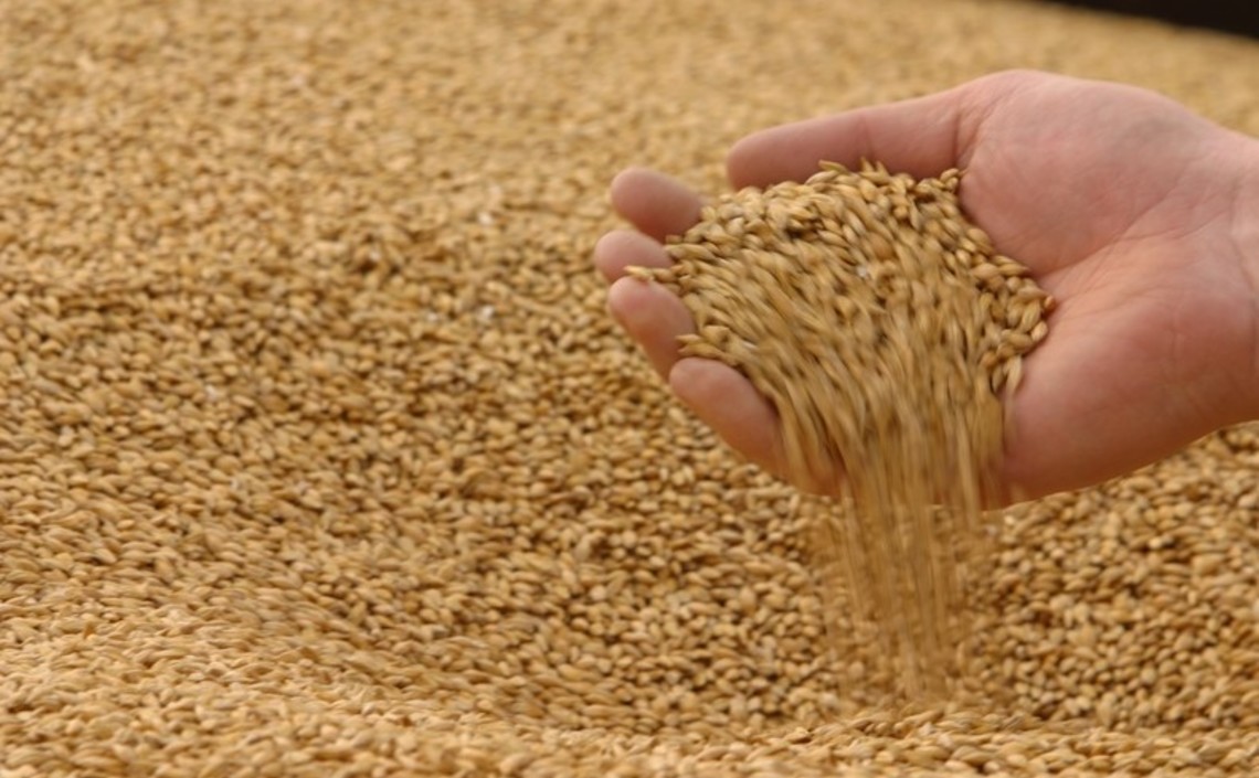 Аграрии РФ начинают «сбрасывать» зерно, экспортеры готовы снижать цены / Агро-Матик