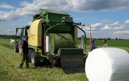 В&nbsp;России определили предприятия, заготавливающие лучший корм по&nbsp;технологии &laquo;Сенаж в&nbsp;упаковке&raquo; / Агро-Матик