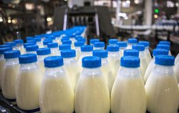 Евросоюз проверит российскую систему контроля продукции животноводства / Агро-Матик