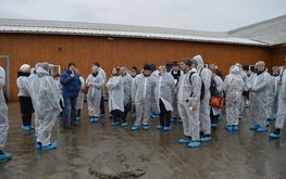 В&nbsp;Калужской области обсудили новые подходы управлении кормлением молочного стада / Агро-Матик