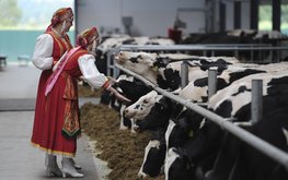 В&nbsp;Ленинградской области подвели итоги работы молочной отрасли / Агро-Матик