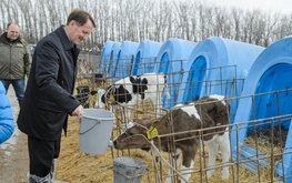 РЗС попросил Гордеева разобраться в&nbsp;ситуации с&nbsp;НДС для импортеров кормов для животных / Агро-Матик