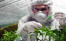 Правительство утвердило программу развития генетических технологий до&nbsp;2027 года / Агро-Матик