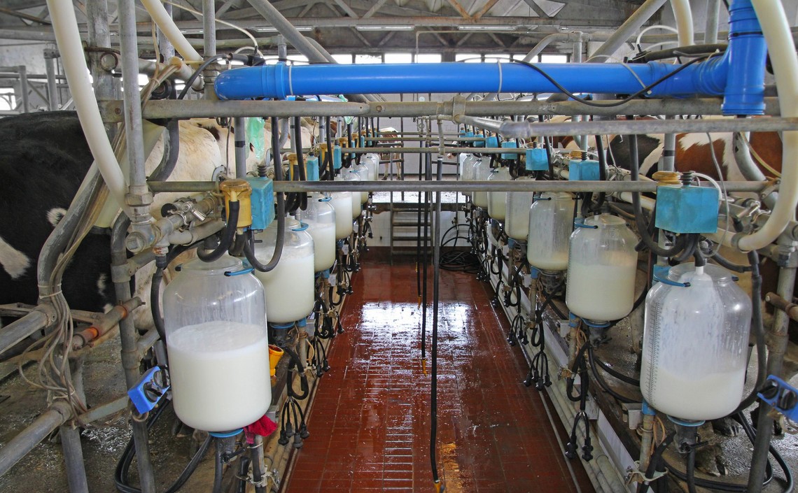 В 2019 году мировые цены на молоко останутся высокими / Агро-Матик
