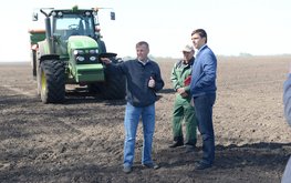 В Орловской области посеяно 28 тыс. га люпина / Агро-Матик