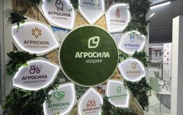 &laquo;Агросила&raquo; намерена на 20% увеличить производство комбикормов / Агро-Матик