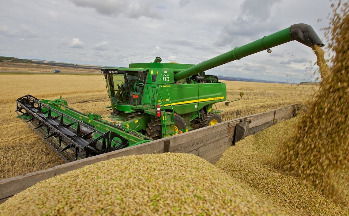 Внутренние цены на пшеницу нового урожая ожидаются на уровне от 9 тысяч рублей / Агро-Матик