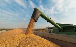 Китай приостановил закупку сои в&nbsp;Соединенных Штатах / Агро-Матик