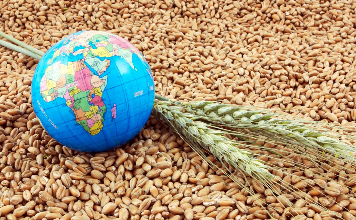Прогноз мировых запасов зерновых самый низкий за 4 года — FAO / Агро-Матик