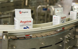 Angel Yeast откроет вторую линию производства дрожжей в&nbsp;2021 году / Агро-Матик