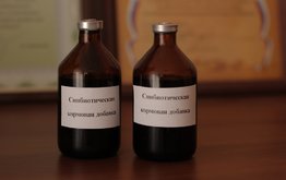 Новую лактулозосодержащую кормовую добавку для телят разработали в&nbsp;Вологодской ГМХА / Агро-Матик