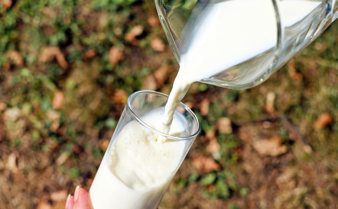Нижегородская область вошла в топ-10 регионов по объемам суточной реализации молока / Агро-Матик