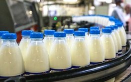 Экспорт российской молочной продукции вырос на&nbsp;4% / Агро-Матик