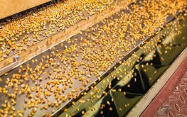 Новый завод под Волгоградом будет поставлять масложировую продукцию в&nbsp;Европу / Агро-Матик