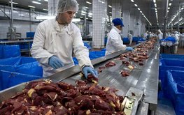 Цены на&nbsp;мясо в&nbsp;РФ могут вырасти минимум на&nbsp;10&nbsp;процентов / Агро-Матик