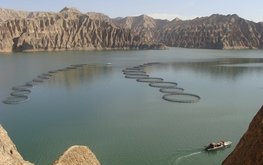 В&nbsp;Китае хотят сделать рыбоводство более экологичным / Агро-Матик