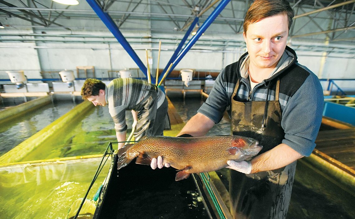В Ленобласти появится новое предприятие по выращиванию рыбы / Агро-Матик