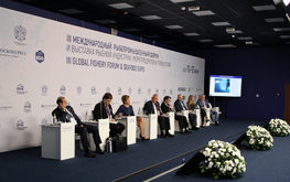 ФАО предоставляет информационную и&nbsp;экспертную поддержку рыбной отрасли / Агро-Матик