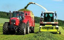 Нижегородские аграрии переступили экватор по&nbsp;заготовке кормов / Агро-Матик
