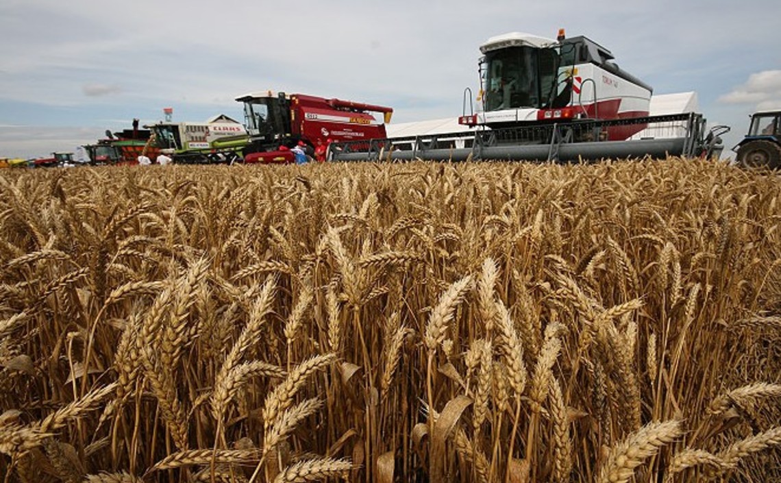 Кубань дала рекордный урожай зерновых / Агро-Матик