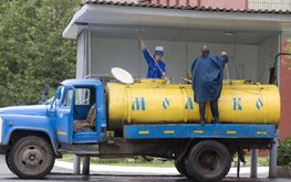 Уровень закупочных цен на&nbsp;сырое молоко в&nbsp;июле достиг исторического максимума / Агро-Матик