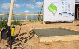 В&nbsp;Вологодской области строят уникальное предприятие по&nbsp;выращиванию рыбы / Агро-Матик