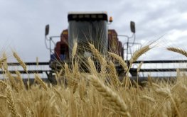 Липецкие аграрии получили первый миллион тонн зерна нового урожая / Агро-Матик