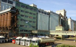 Россельхозбанк может продать ферму и&nbsp;комбикормовый завод в&nbsp;Ленобласти / Агро-Матик