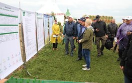 Холдинг Агросила&raquo; приступил к строительству животноводческого комплекса в Татарстане / Агро-Матик