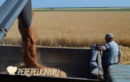 В&nbsp;Саратовской области построят не&nbsp;имеющий аналогов в&nbsp;России и&nbsp;СНГ завод / Агро-Матик