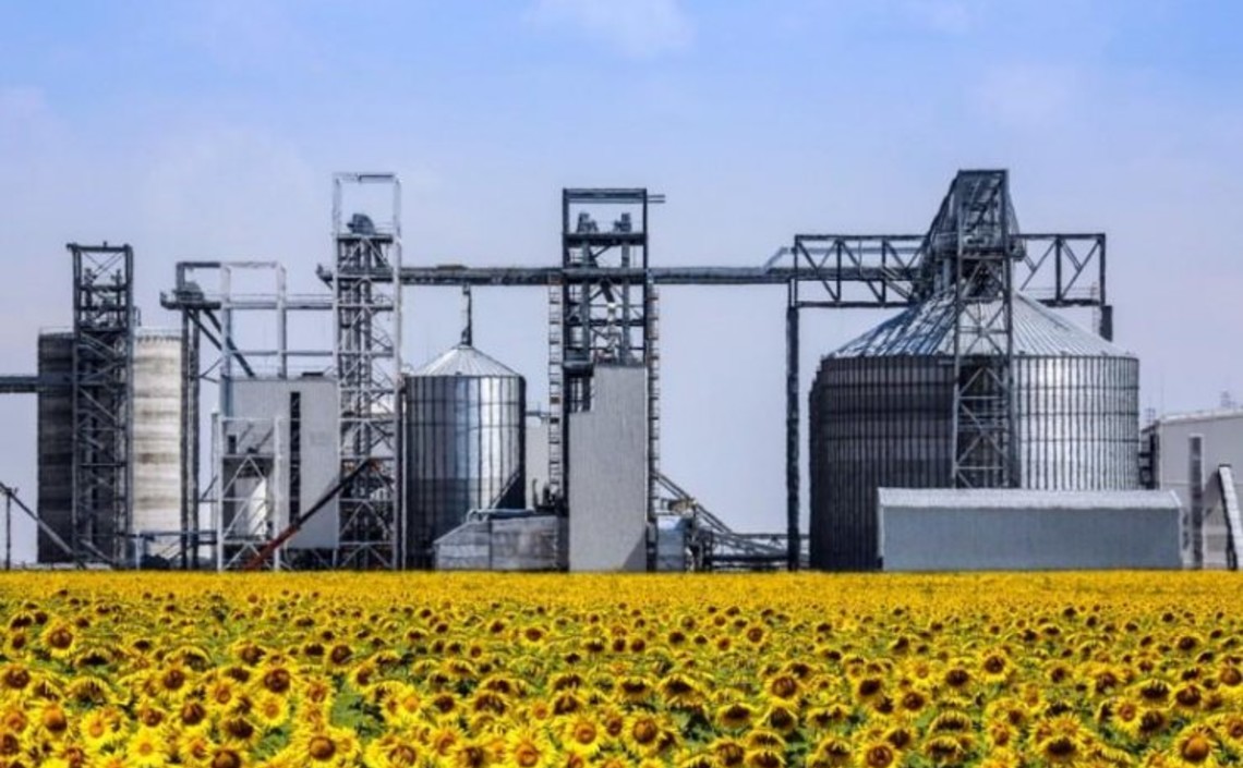 В Пензенской области появится завод по переработке масличных культур, в том числе конопли / Агро-Матик