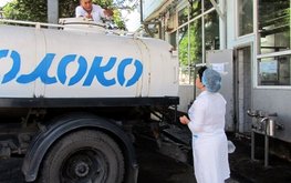 Производство молока в&nbsp;России в&nbsp;2019 году вырастет на&nbsp;0,4 млн т / Агро-Матик