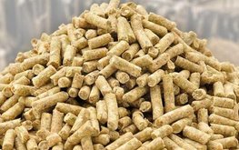 Соевые корма для животных начнут производить на&nbsp;Алтае / Агро-Матик
