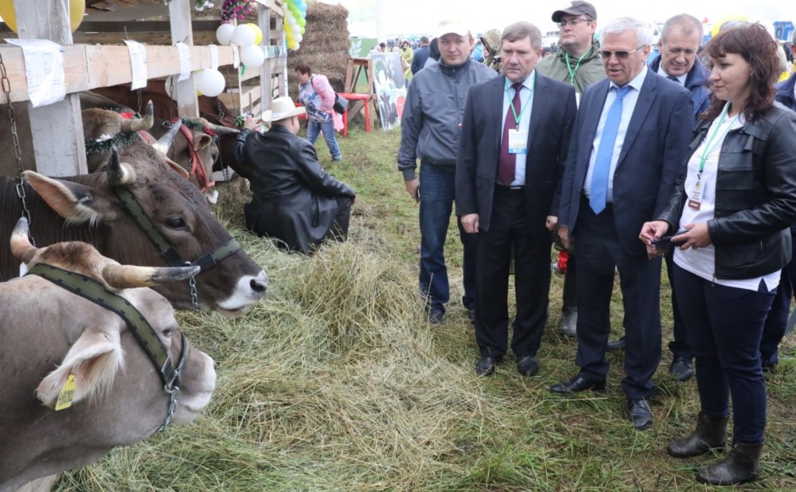 В&nbsp;Нижегородской области выросли объемы производства молока и&nbsp;мяса / Агро-Матик