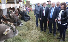 В&nbsp;Нижегородской области выросли объемы производства молока и&nbsp;мяса / Агро-Матик