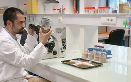 Национальную стратегию в&nbsp;отношении белков из&nbsp;насекомых предложил принять Минсельхоз Франции / Агро-Матик