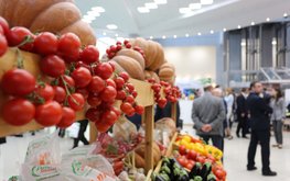 Владимир Путин подписал указ о&nbsp;создании сети атташе по&nbsp;АПК для продвижения сельхозпродукции за&nbsp;рубежом / Агро-Матик