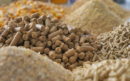 Продажу кормов и&nbsp;кормовых добавок в&nbsp;Азербайджане освобождают от&nbsp;НДС / Агро-Матик