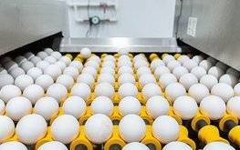В&nbsp;Воронежской области начали строить крупный животноводческий комплекс / Агро-Матик