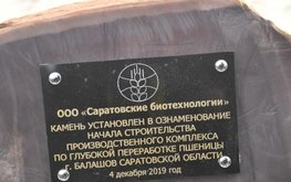 Саратовская компания планирует построить завод по&nbsp;глубокой переработке пшеницы / Агро-Матик