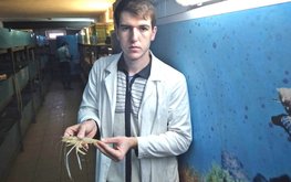 Волгоградские ученые отрабатывают технологии выращивания раков / Агро-Матик