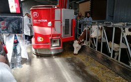 Московская и&nbsp;Тульская области поделились инновационным опытом в&nbsp;содержании КРС / Агро-Матик