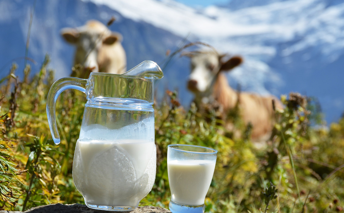 Rabobank: на горизонте более высокие цены на молочные продукты / Агро-Матик