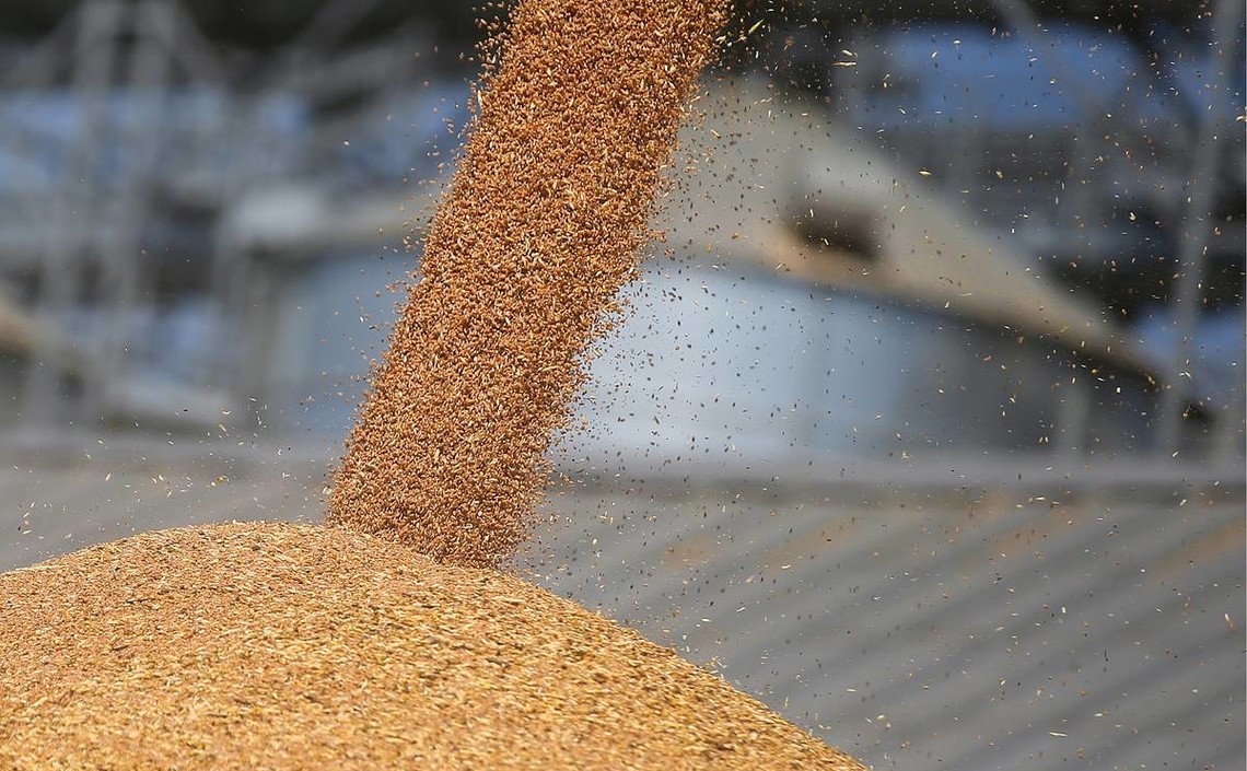 Минсельхоз готовит постановление об ограничении экспорта зерна / Агро-Матик