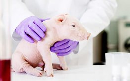 &laquo;Агроэко&raquo; открыла вторую очередь селекционно-генетического центра под Воронежем / Агро-Матик